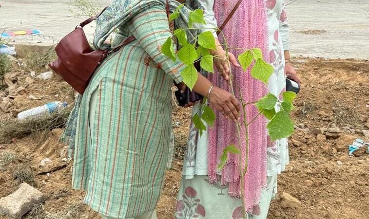 पेड़ लगाओ, हरियाली बढ़ाओ अभियान के तहत WICCI ने सेक्टर 2 में लगाए पौधे